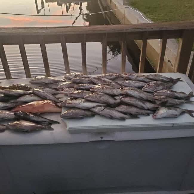 Tarpon Springs: Private Guided Gulf of Mexico Fishing Tour