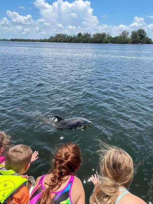 Tarpon Springs: Private Island Tour & Dolphin Cruise