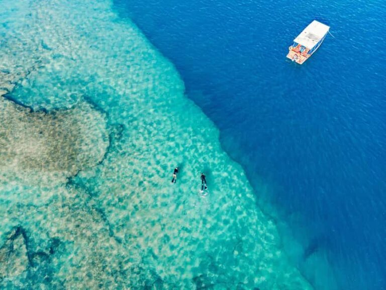 Tarrafal: Boat Trip with Snorkeling - Who Will Love This Tour?
