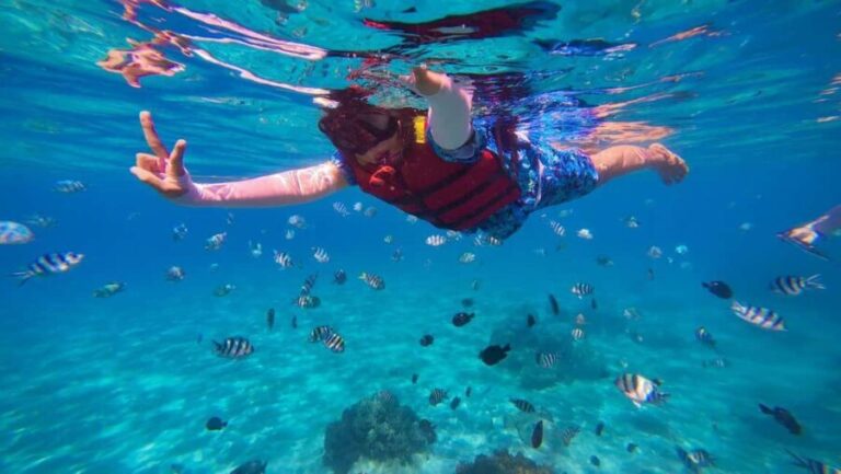 Tarrafal: Snorkeling Trip Along the Coastline - Practicalities & Value