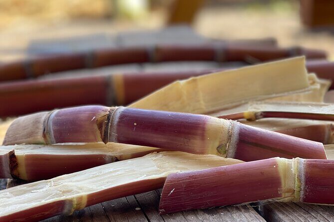 Taste of Hawaii: A Maui Farm Tour - The Experience’s Pros and Cons