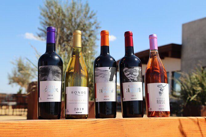 Tasting of 5 wines and tour at the winery Rondo del Valle - Who Will Love This Tour?
