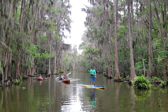 Tavares Poppy's Sweet Paddle Adventure with Ice Cream - Final Thoughts