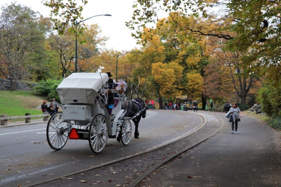 Tavern on the Green PickUp&DropOff With Horse Carriage Ride