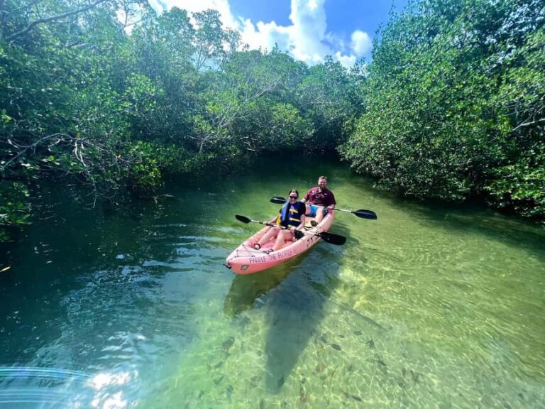 Tavernier, FL: Mangrove and Manatees Guided Kayak Eco Tour - What Makes This Tour Stand Out?