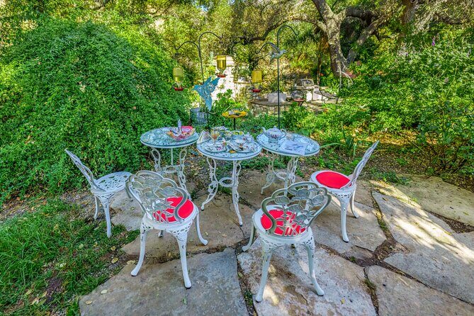 Tea with hummingbirds at a Hummingbird Sanctuary - Authentic Experiences and Real Feedback