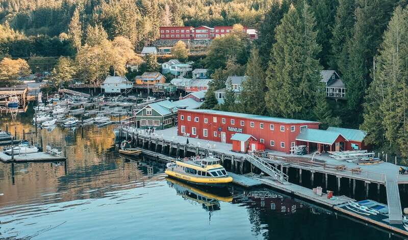 Telegraph Cove: 3-Hour Whale Watching Tour in a Zodiac Boat