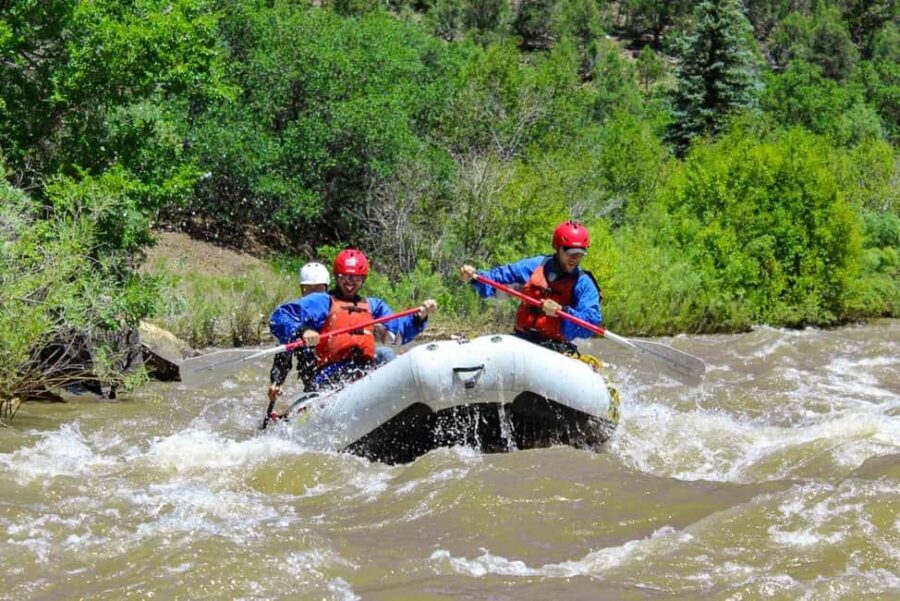 Telluride Afternoon Half Day Rafting Trip - San Miguel River - A Day in the Life of Your Rafting Trip