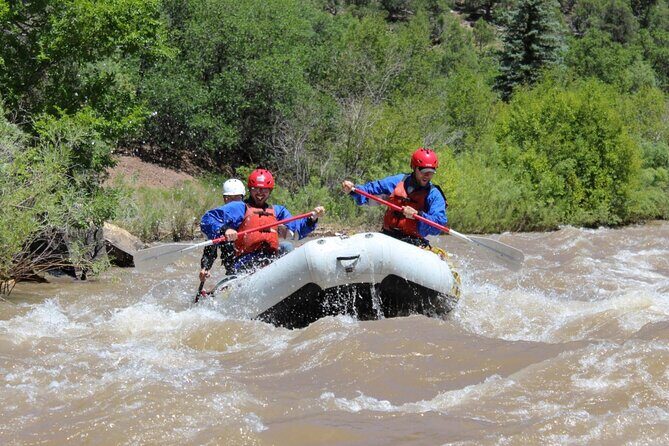 Telluride Afternoon Half Day Rafting Trip - San Miguel River - Highlights for Different Types of Travelers
