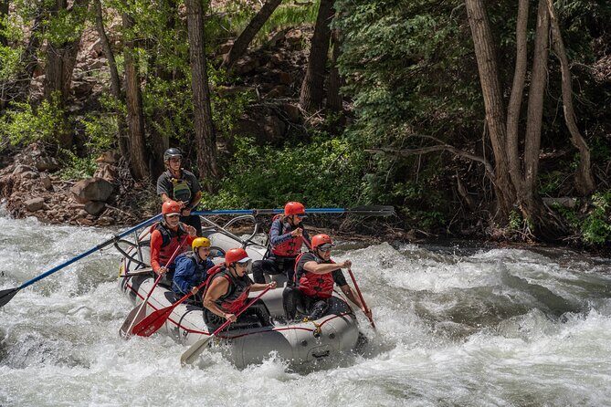 Telluride Morning Half Day Rafting Trip - San Miguel River - Final Thoughts: Who Will Love This Rafting Adventure?