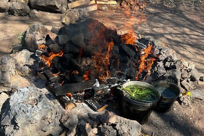 Temazcal Ceremony in Tepoztlan Healing and Tradition - Transportation and Group Size