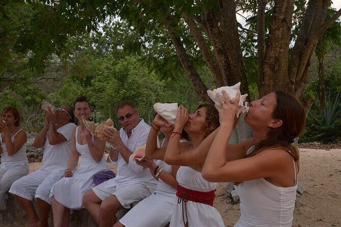Temazcal Mayan Ritual Tour and Cenote Swim with Yucatecan Dinner - Who Should Consider This Tour?