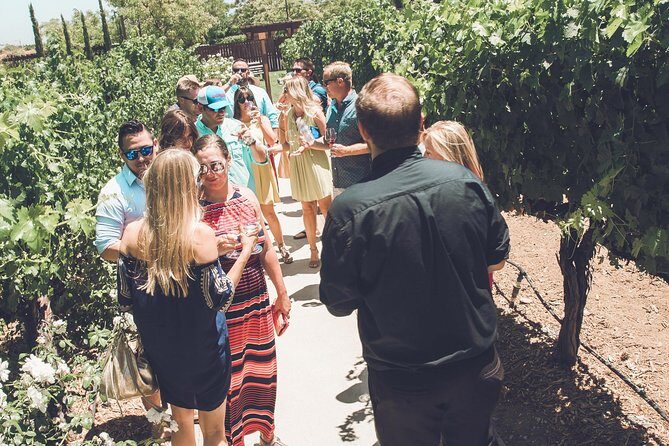 Temecula Valley Afternoon Wine Tour with Tastings and Cheeseboard - Final Thoughts