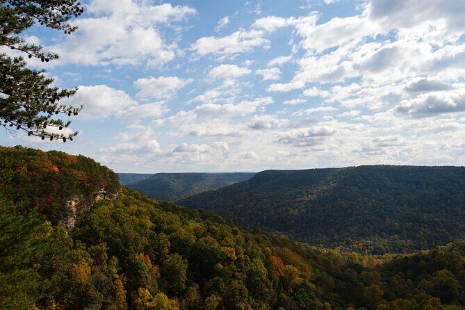 Tennessee Fall Colors Hiking Tour - Practical Details for Travelers