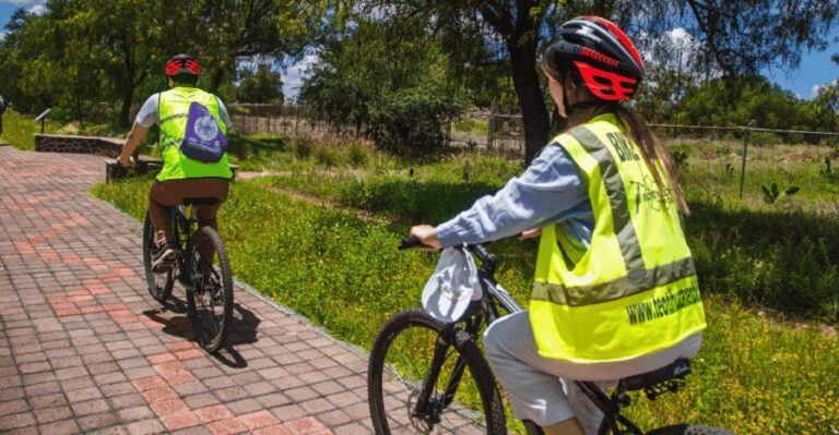 Teotihuacan: History, Culture and Pulque Tasting Bike Tour - Analyzing the Value