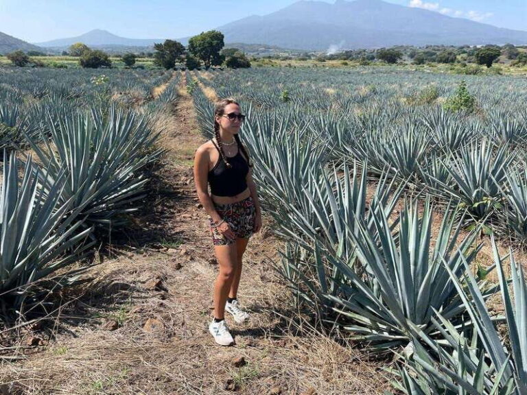 Tequila and Cantaritos Tour from Guadalajara - Authentic Experiences and Authentic People