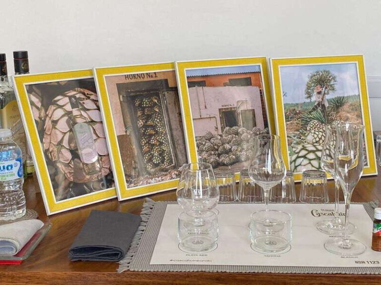 Tequila and Mezcal tasting in an educational tasting room - An In-Depth Look at the Experience