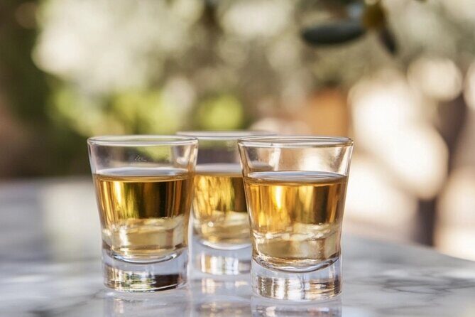 Tequila and Mezcal Tasting in Colonial Mansion Restaurante Diego - The Learning Journey: What to Expect