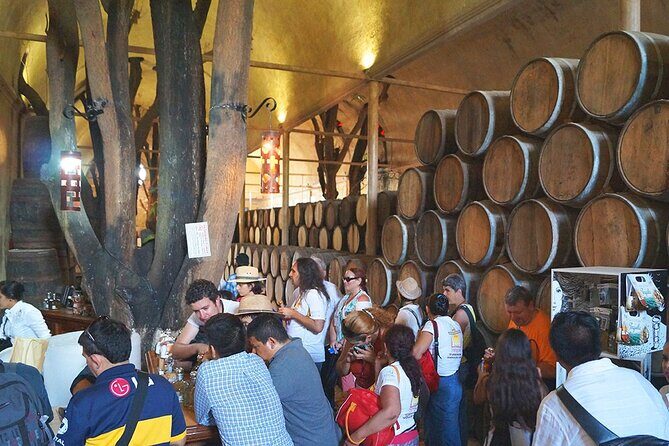 Tequila and the Magnificient Ancient Haciendas PRIVATE TOUR - Who Will Love This Tour?