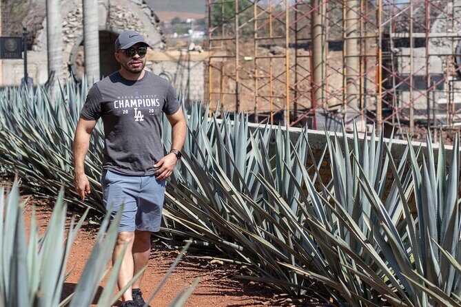Tequila Day Trip - Analyzing the Value and Practicalities