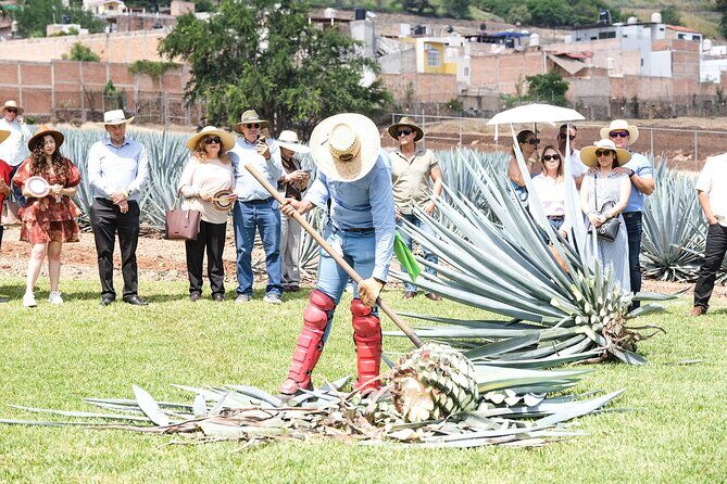 Tequila Express Round Trip by Train - Who Will Love This Tour?