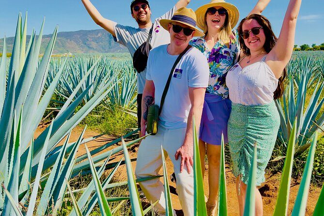 Tequila/Guachimontones Tour-cultural heritage route - The Transport & Logistics