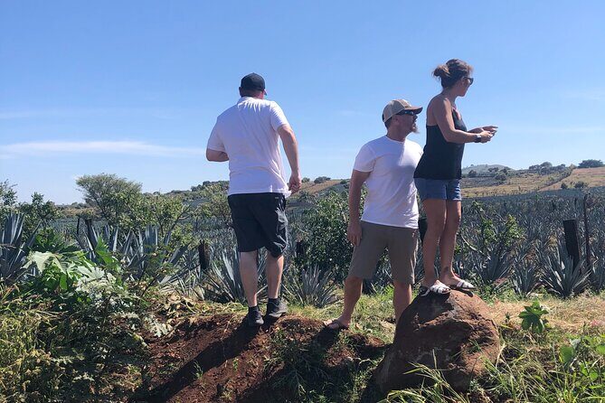 Tequila Jalisco Full Day Tour from Puerto Vallarta - Exploring the Itinerary in Detail