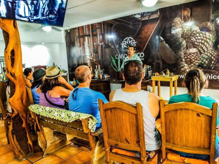 Tequila & Mezcal Tasting Experience - The Experience in Detail