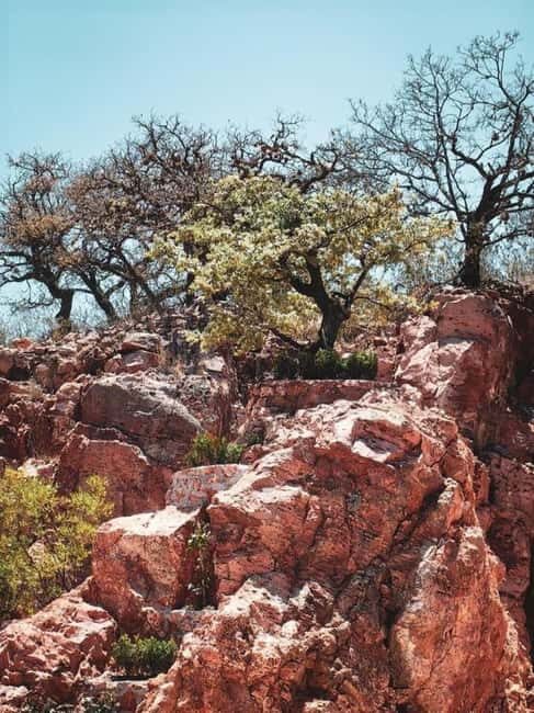 Tequisquiapan: UTV Tour to Opal Mine with Art Workshop