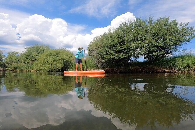 Teton River Paddleboard Adventure - 4.5 Miles - The Sum Up