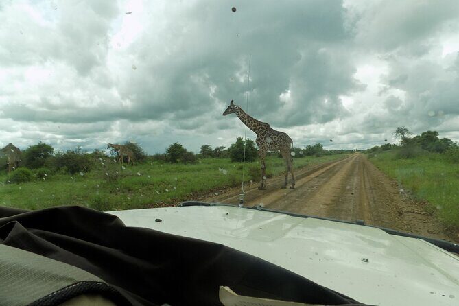 The Amaizing Private Day Trip to the lovely Arusha National Park - The Itinerary: What to Expect