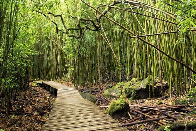 The best half day of your life! Luxury Road to Hana private tour - Detailed Breakdown of the Itinerary