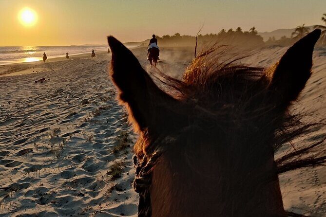 The Best Horseback Riding Trip: Wildlife, Rivers, Beach, Sunset.. - Practical Details and What You Should Know