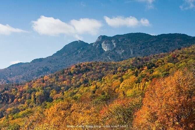 The Best of Asheville: Private 2.5-hour Walking Tour - The Value of a Private Guided Tour