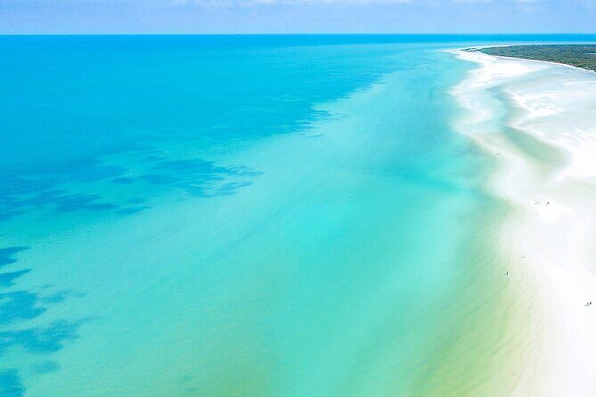 The best of Holbox from Tulum - What the Reviews Say: Authentic Experiences and Guided Excellence