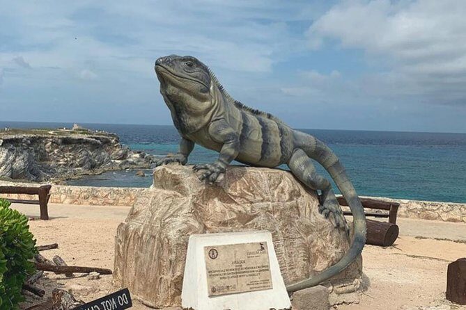 The Best of Isla Mujeres Private Walking Tour - What Travelers Say