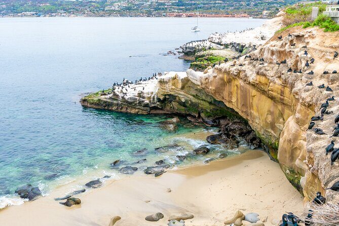 The Best of La Jolla Walking Tour: Sip, Savor & Sea - The Practicalities: What You Need to Know