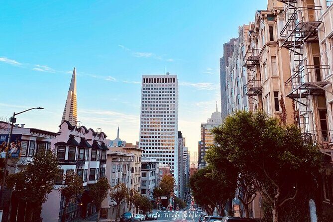 The Best of San Francisco: Private Half-Day Walking Tour - Authentic Experiences and Authenticity
