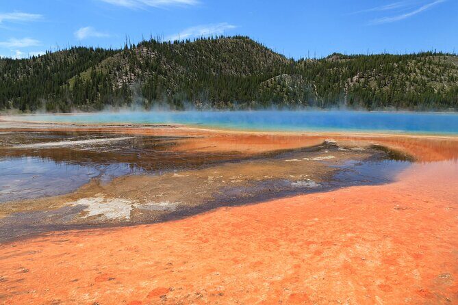 The Best of Yellowstone - Nat'l Park Day Tour From Cody - Private - Who Should Consider This Tour?