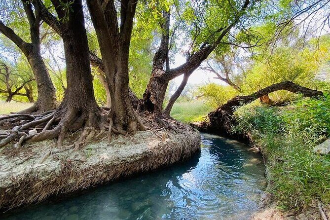 The best tour to Bustamante + Guide + transfer + tickets - Frequently Asked Questions