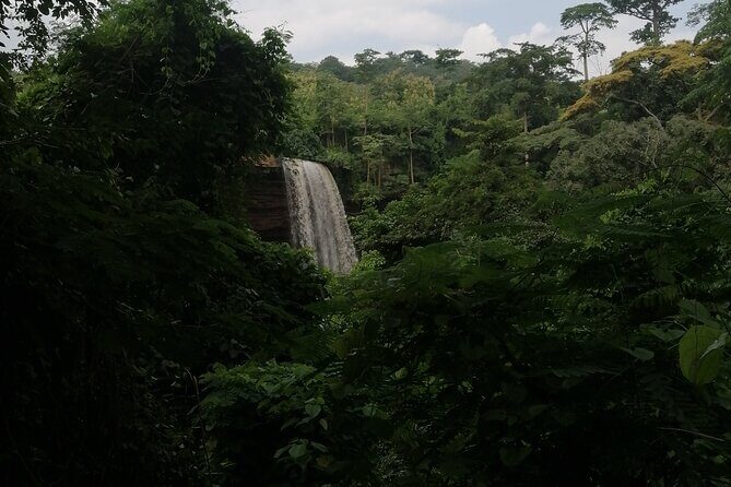 The Botanical Gardens and Water Falls Experience - Private Tour - Practicalities and What Sets This Tour Apart