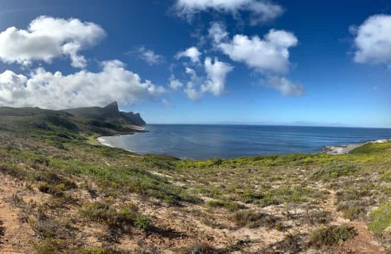 The Cape Peninsula: A Day of Coastal Elegance - The Sum Up