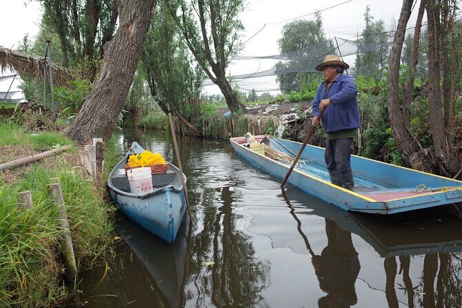 The City Green Exploring the Urban Eco Reserve of Xochimilco - The Practicalities: What You Need to Know