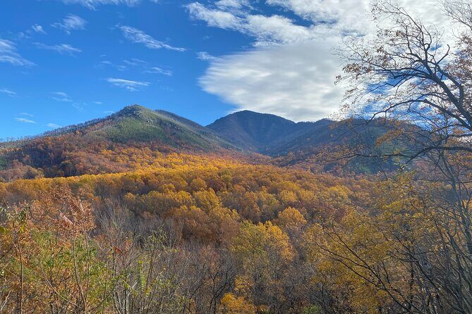The "Classic" National Park Tour - What the Reviews Say