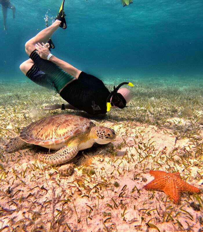 The Cozumel Turtle Sanctuary Snorkel Tour - Itinerary Breakdown: What Makes Each Stop Special