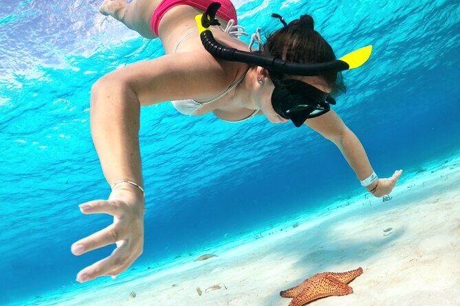 The Cozumel Turtle Sanctuary Snorkel Tour - Final Thoughts