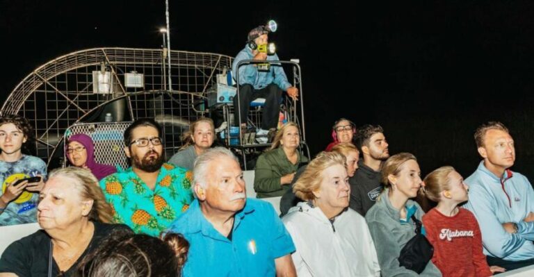 The Everglades: 1-Hour Airboat Night Tour - The Itinerary Breakdown