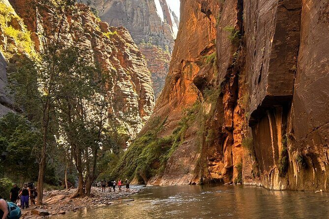 The Famous Narrows Trail in Zion National Park - Into the Narrows: Water, Rocks, and Surprising Wildlife