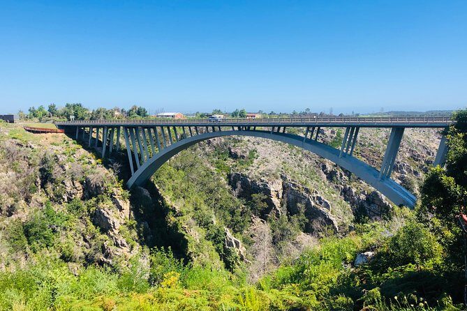 The Garden Route 7-Day Tour - What Travelers Can Expect & Why It Matters