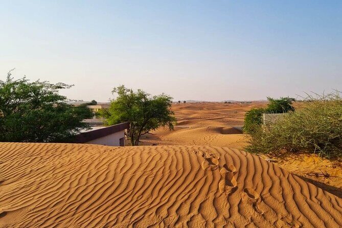 The Ghost Village Safari with Bedouin Camp and Barbeque Dinner - Who Will Love This Tour?